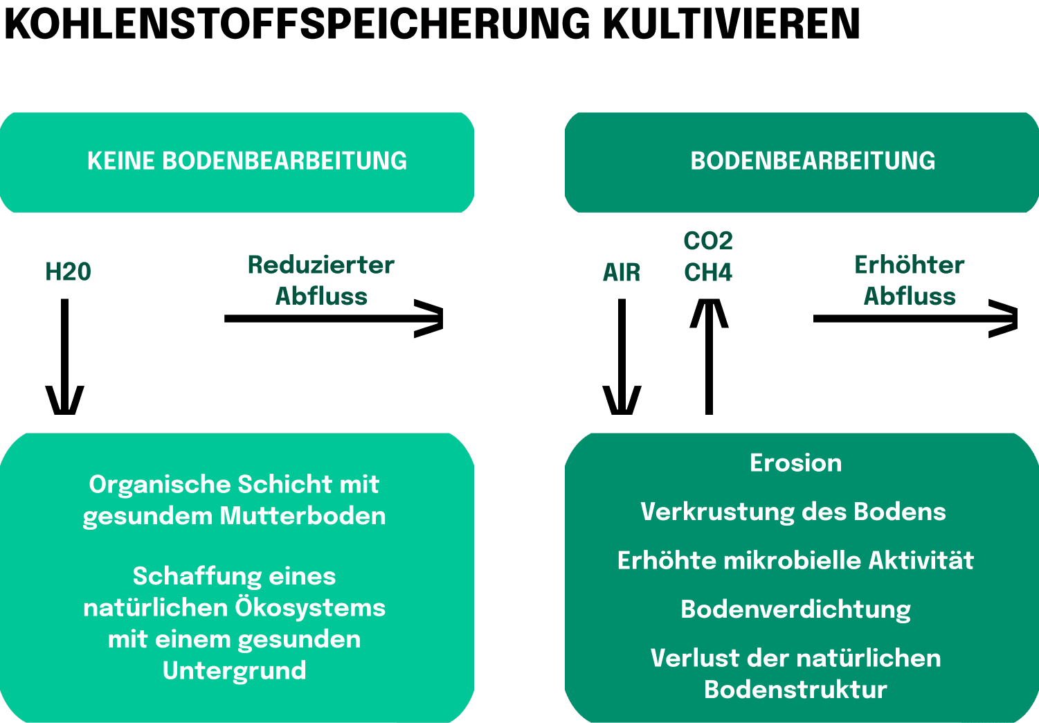 Kultivierung der Kohlenstoffverwendung