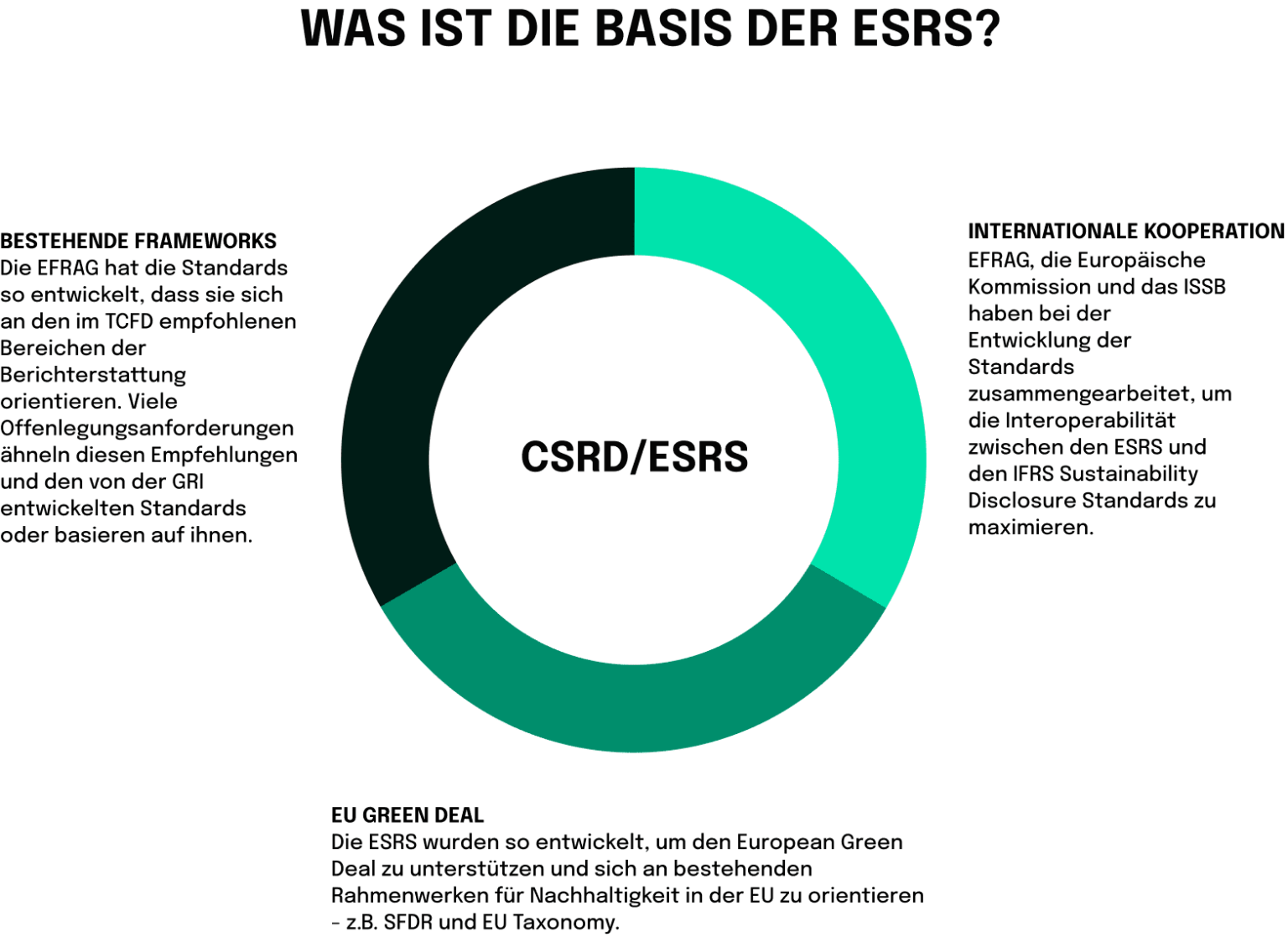 Die Basis der ERS