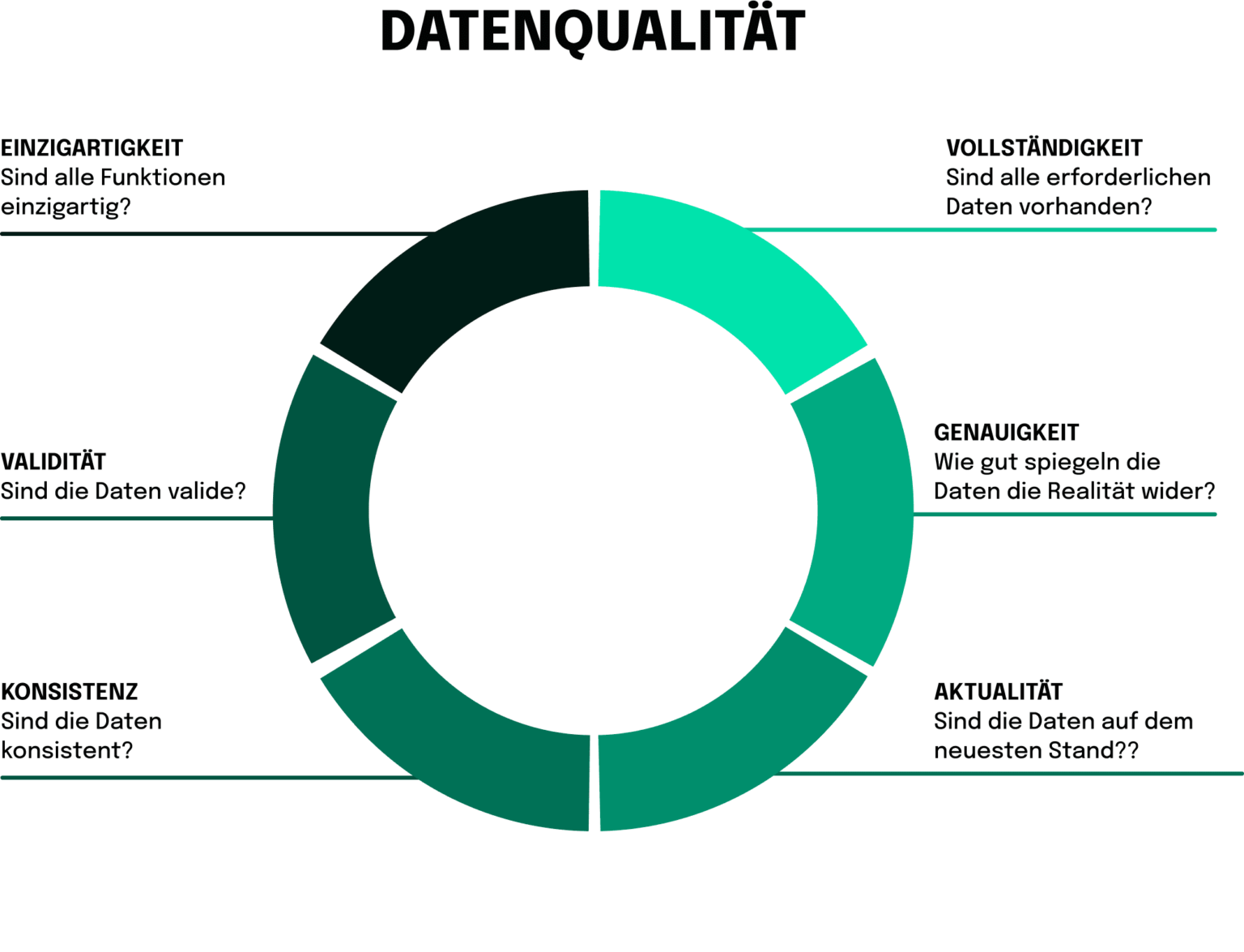 Fallstudie zur KI, Datenqualität