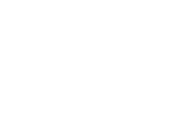 German Startup Award