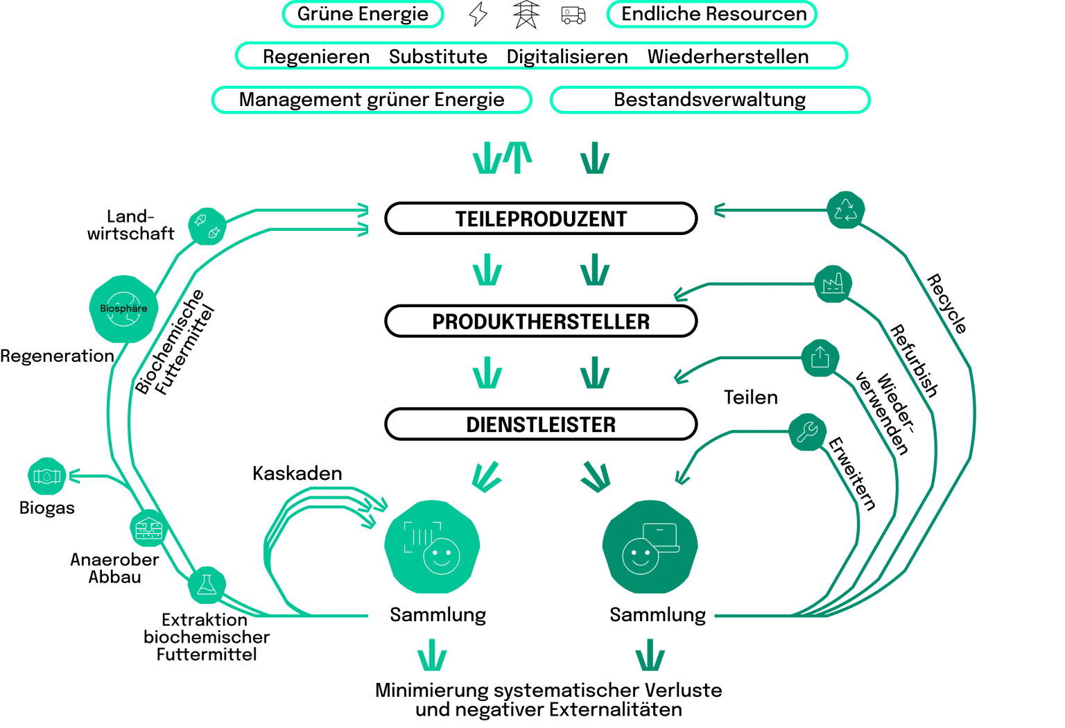 Kreislaufwirtschaft einfach erklärt: Das Systemdiagramm der Kreislaufwirtschaft