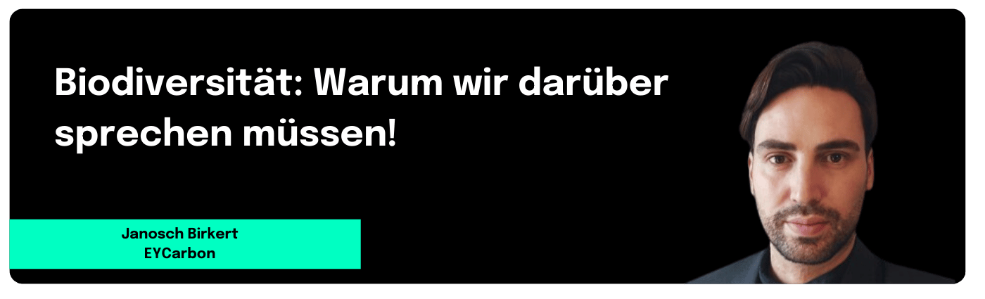 Teaserbild Biodiversität: Warum wir darüber sprechen müssen!