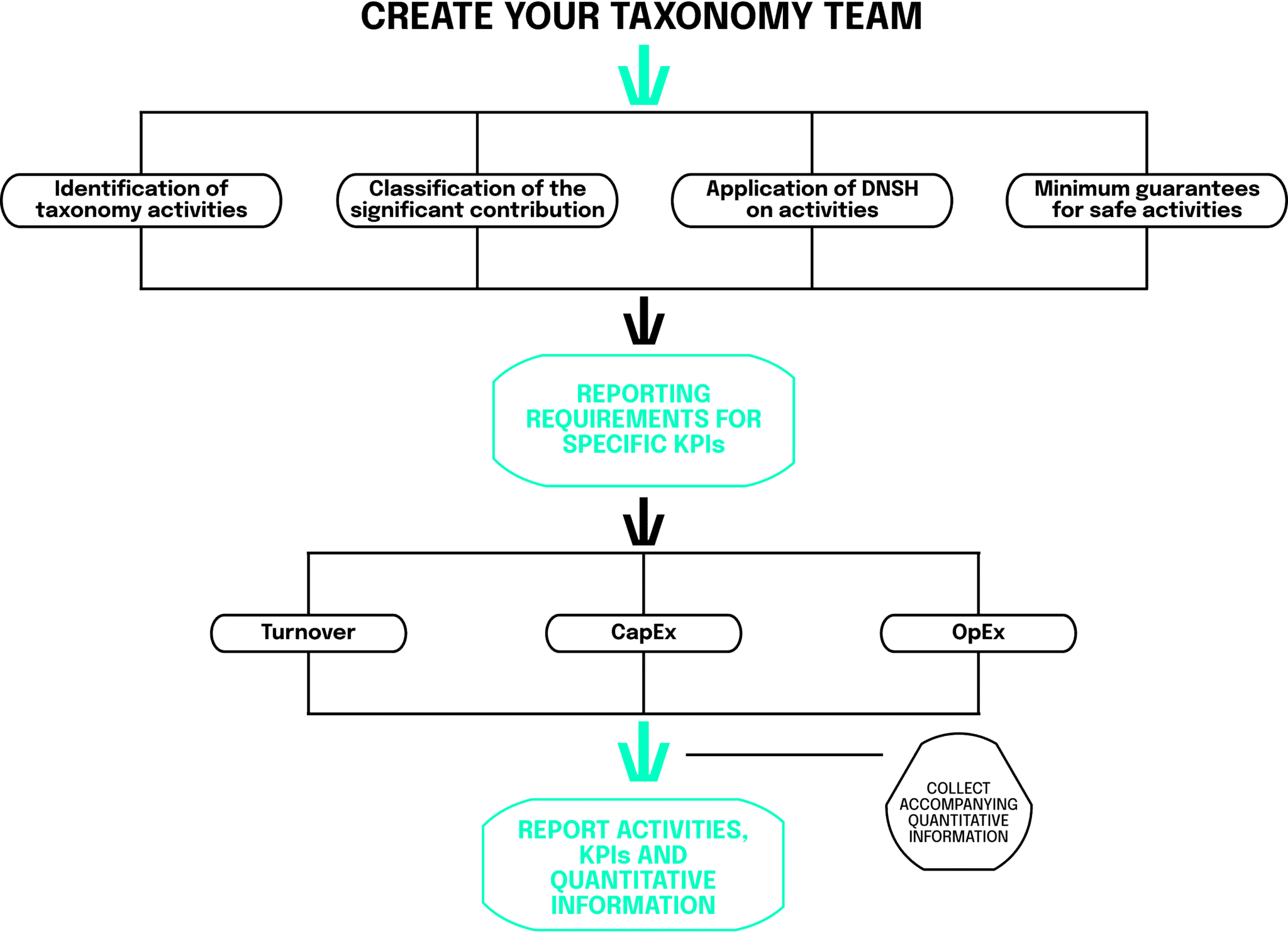 create your Taxondomy team