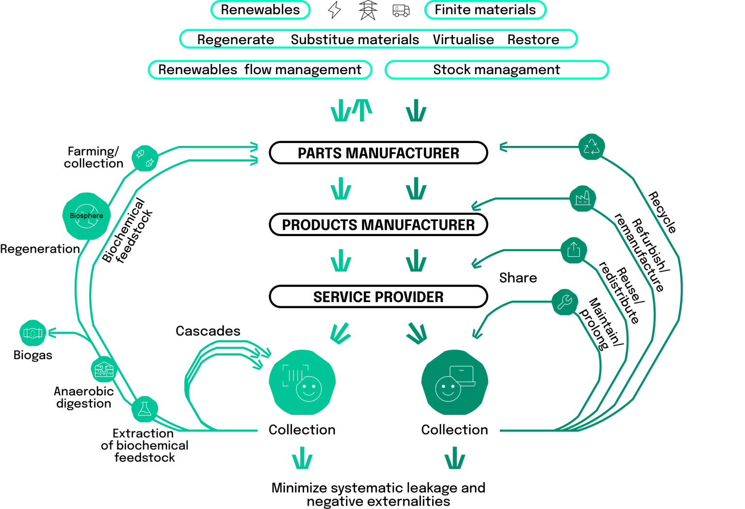 The Basics of circular economy: the butterfly diagram