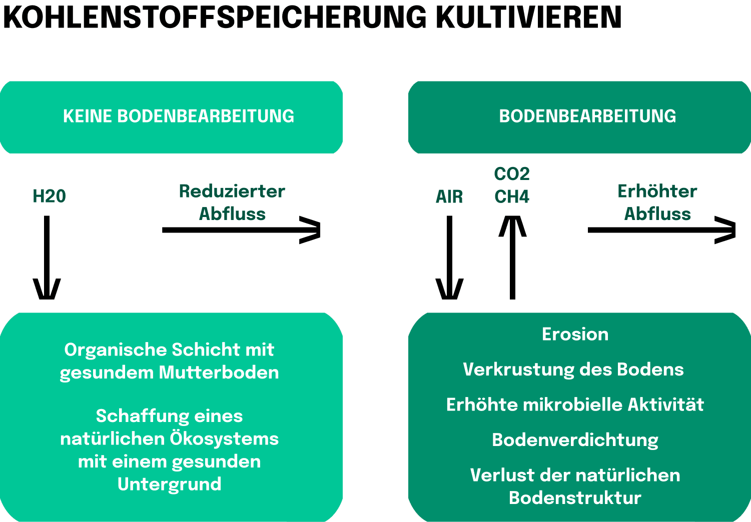 Kultivierung der Kohlenstoffverwendung