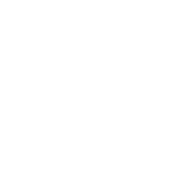 Logo 21strategies