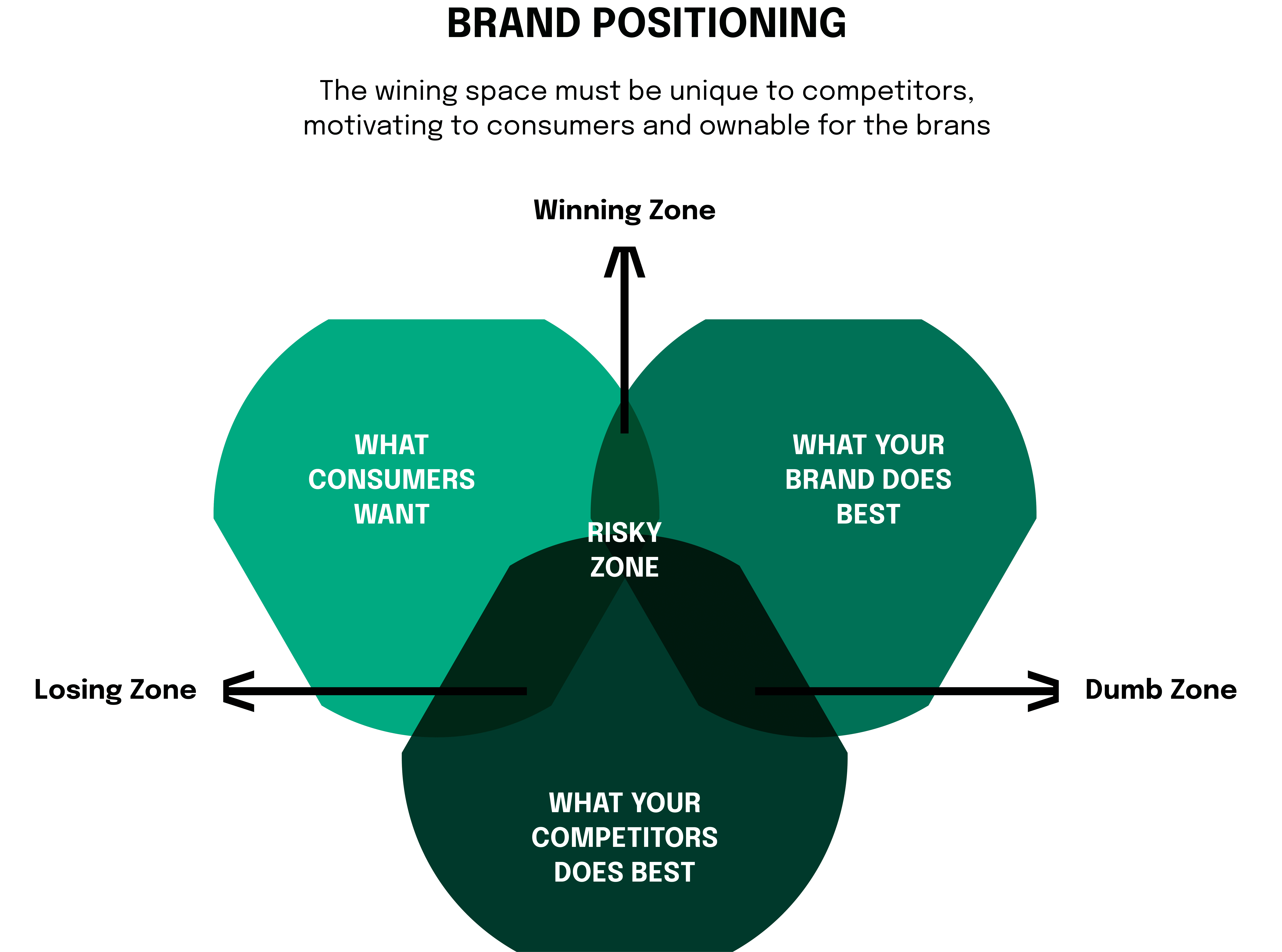 Positioning the new vertical involves identifying and articulating a unique selling proposition (USP) that sets the vertical apart