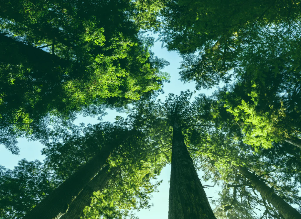 Zwischen Greenwashing und Biodiversity Credits: Was die Finanzwirtschaft mit dem Erhalt der Biodiversität zu tun hat