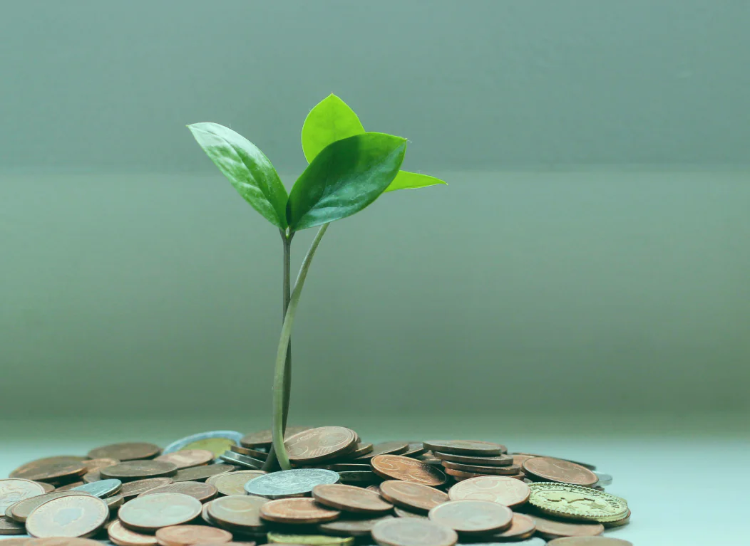 Titelbild BtT Sustainable Finance